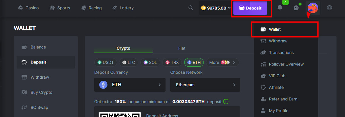 Deposit & Withdrawal Options in BC.Game
