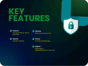 Choosing Bet Amount and Auto Cash-Out Setting